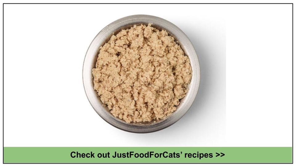 8 Best Low Phosphorus Cat Food Options2024