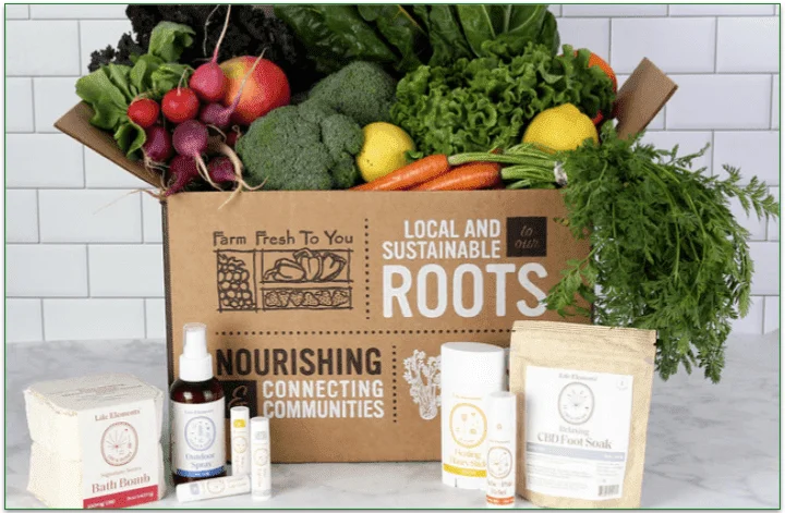 Delivery box filled with fresh vegetables and items in plastic packaging