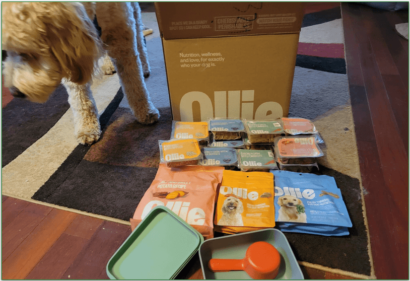 Unboxed Ollie delivery on the floor