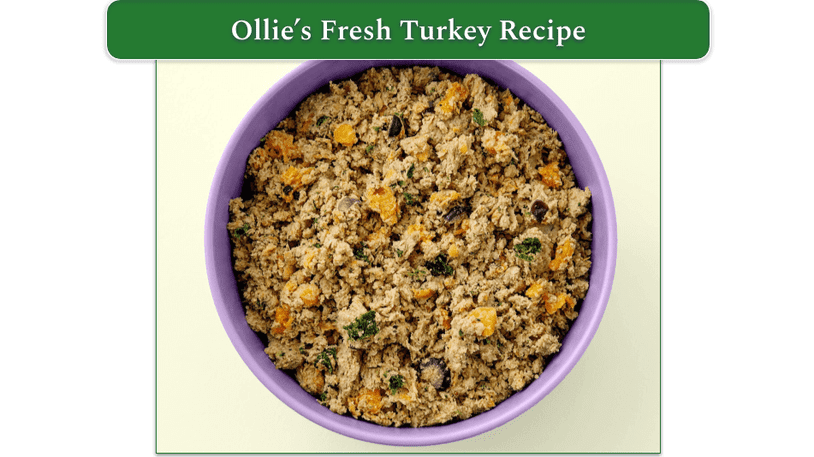 ollie recipe, Fresh Turkey