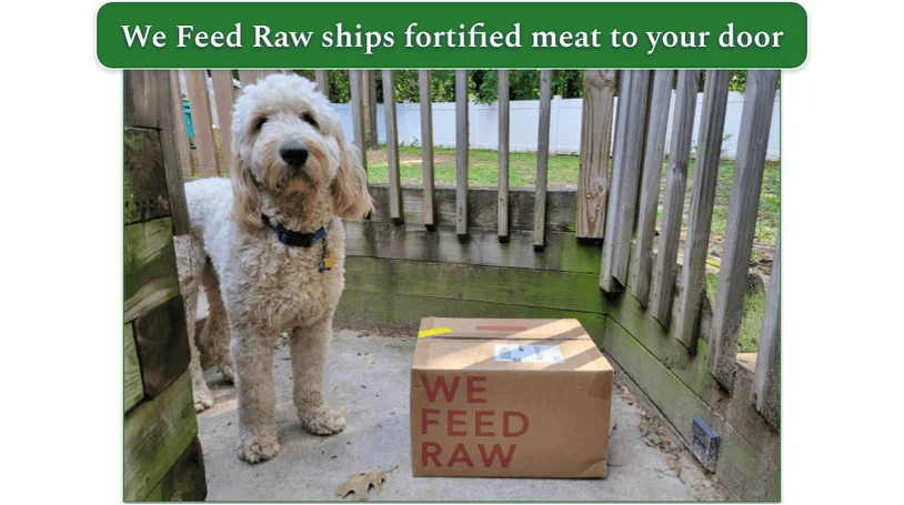 Our testing dog, Baxter, next to a We Feed Raw package