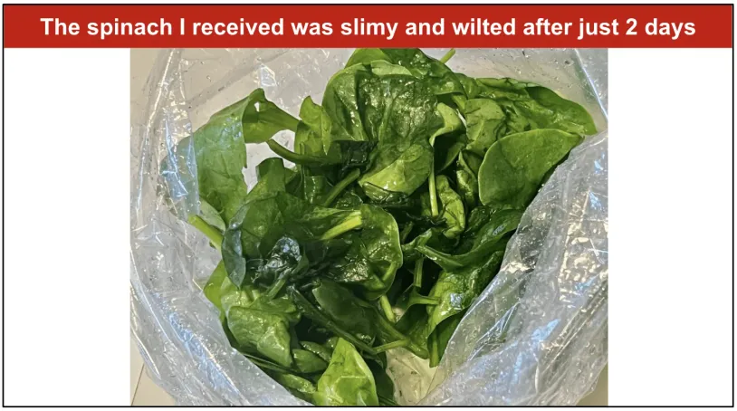 Bag of wilting spinach