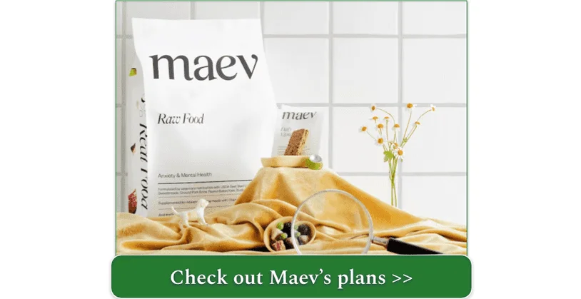 Picture of Maev Small Dog Bundle