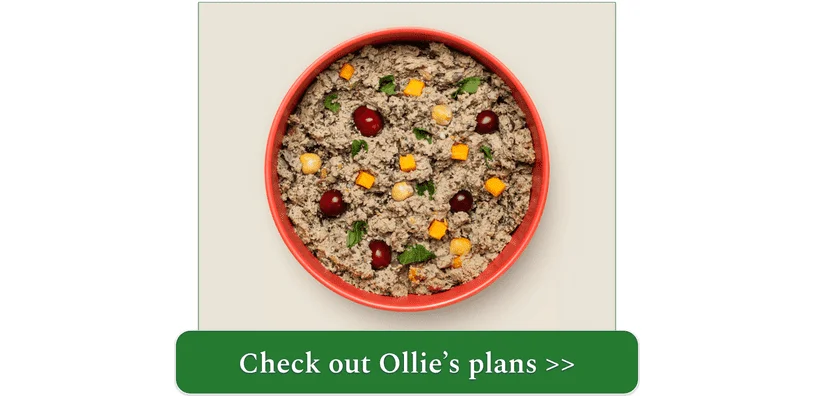 Bowl of Ollie's Lamb recipe