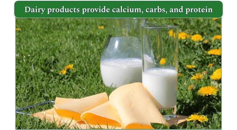 Two glasses of milk and several thin slices of cheese in the flowery field.