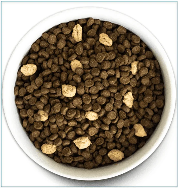 Image of a bowl of Open Farm's Wild Ocean RawMix