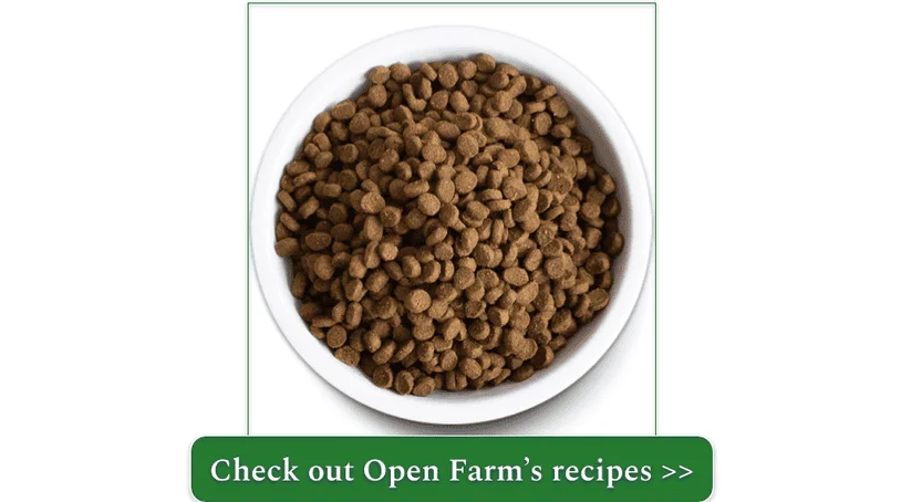 Bowl of the Catch-of-the-Season Whitefish Dry Cat Food from Open Farm