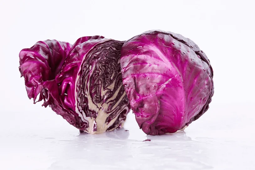 Purple cabbage sliced in half