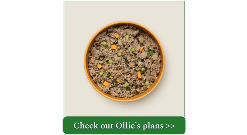 Beef dish from Ollie