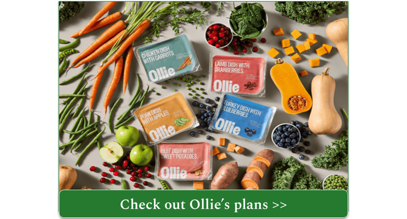 Selection of fresh Ollie meals surrounded by fresh food