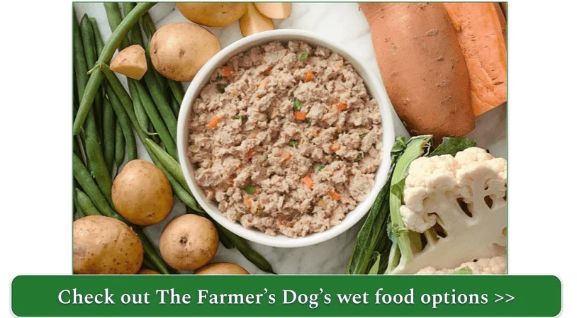 The Farmer's Dog Turkey recipe in a bowl surrounded by fresh vegetables