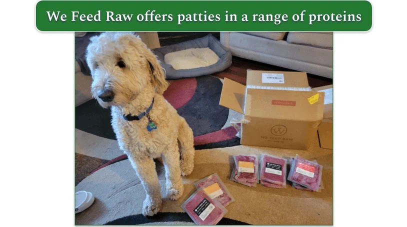 Our reviewers dog sitting next to We Feed Raw packages