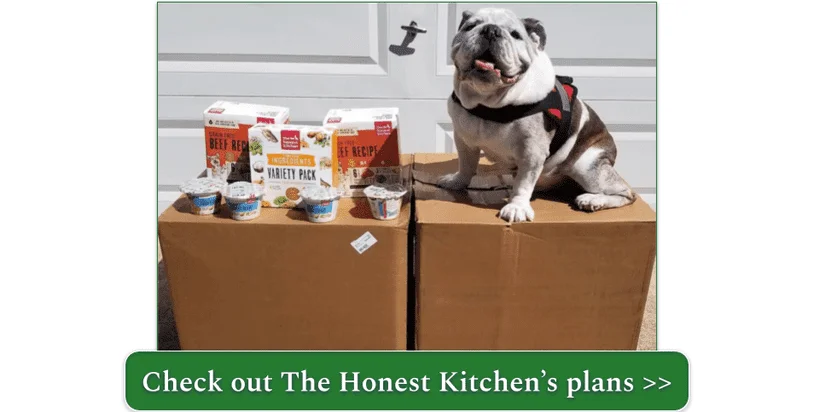 Get wet, dry, and dehydrated food as well as toppers and supplements from The Honest Kitchen