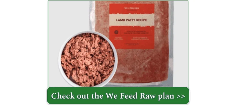 Lamb Patty Recipe by We Feed Raw