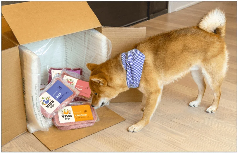 Dog investigating Viva Raw's meals inside a delivery box