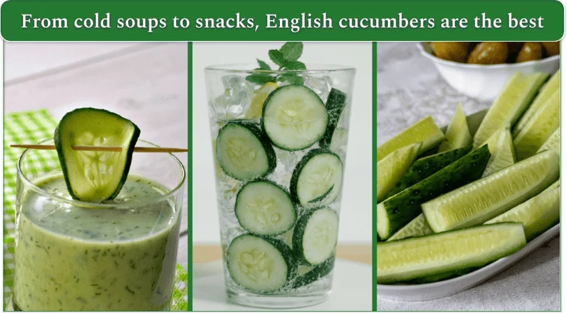 collage of ways to enjoy English cucumbers