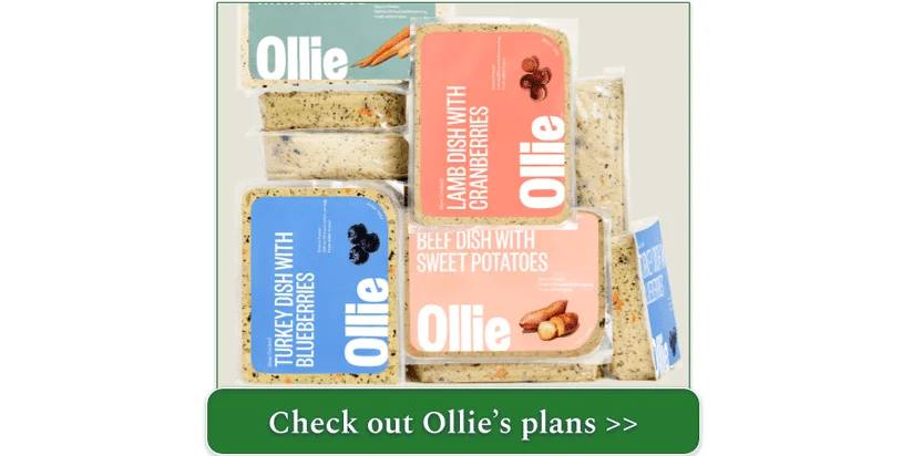 Pictures of sample packages of Ollie's Dishes