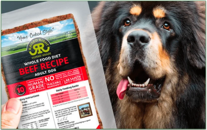 A Tibetan Mastiff and a bag of Raised Right Whole Food Diet Beef Recipe.