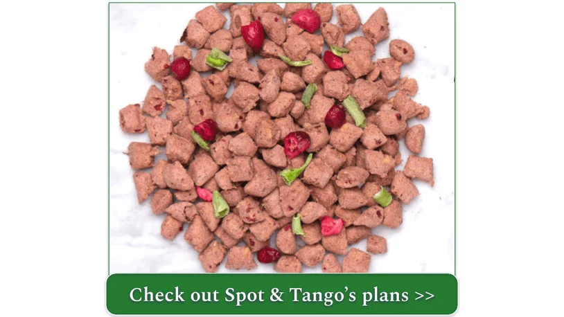 Spot & Tango’s Beef and Barley UnKibble