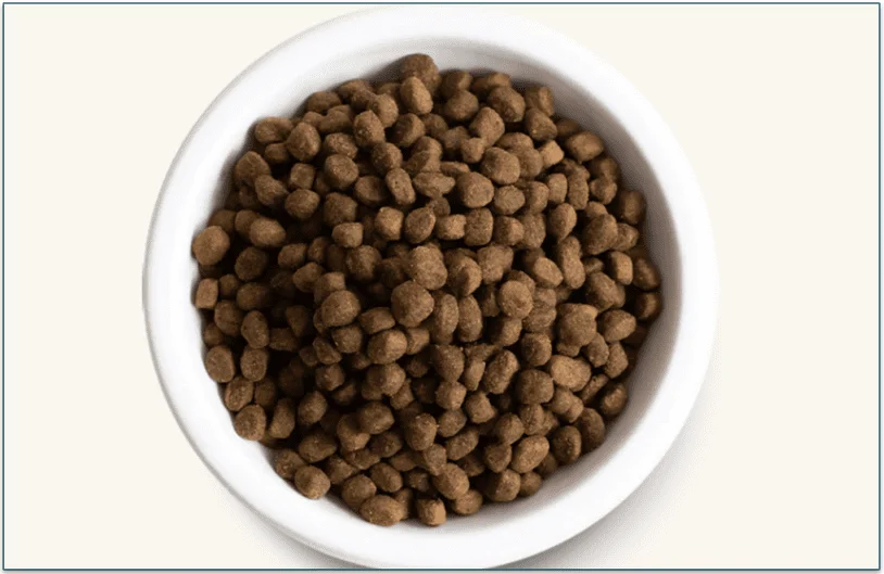 Open Farm's Wild-Caught Salmon & Ancient Grains Dry Dog Food