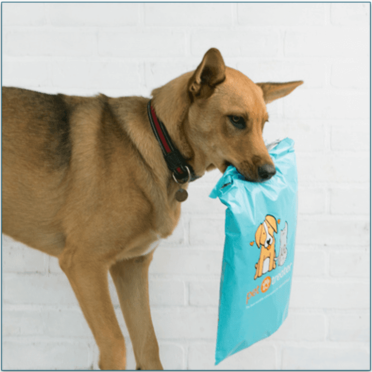 Dog holding a Pet Treater Welcome Pack in its mouth