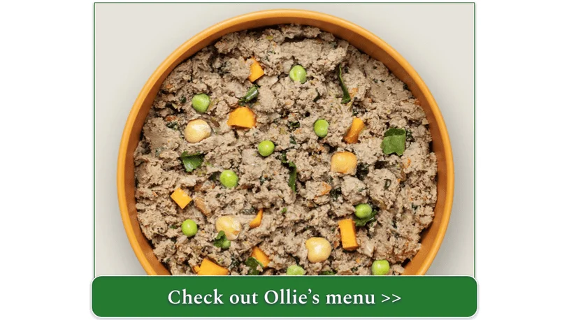 Ollie's Fresh Beef with Sweet Potatoes, a hearty and nutritious dog food.