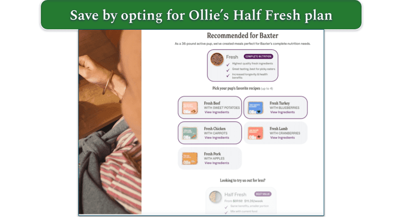 Baxter's recommended plans with Fresh selected and Half Fresh grayed out