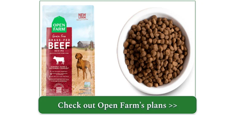 A bowl and a bag of Open Farm's Grain Free Grass-Fed Beef Recipe