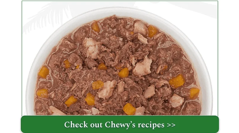 Bowl of Tiki Cat Aloha Friends from Chewy