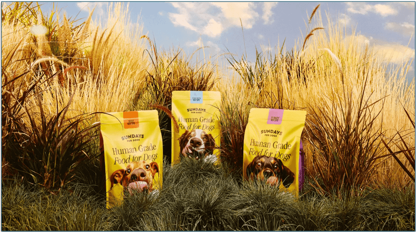 Sundays' 3 recipe bags displayed in a field