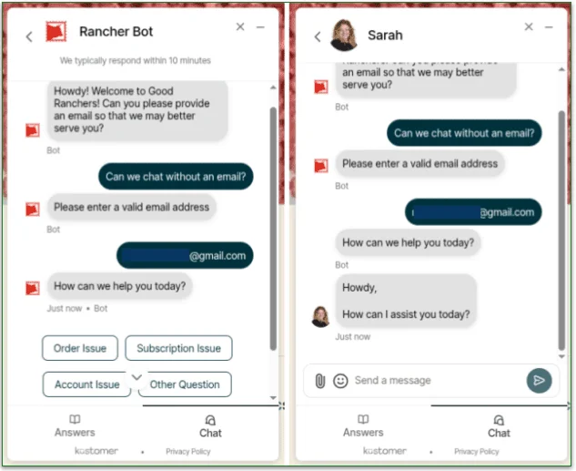 The bot could be friendlier and faster