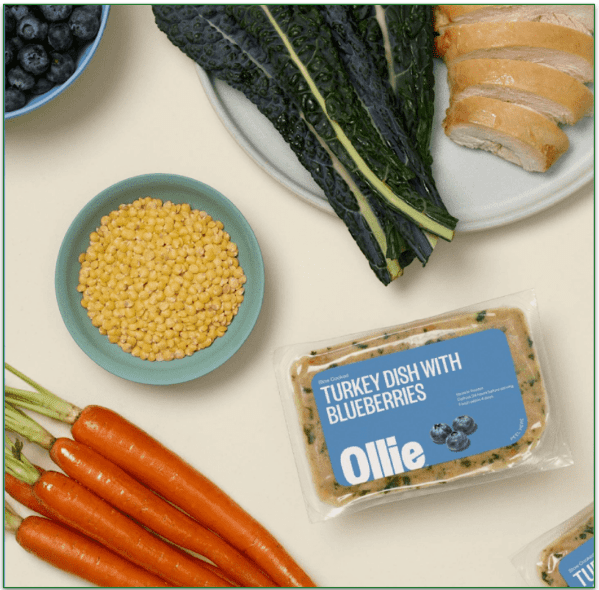 Turkey Dish with Blueberries by Ollie