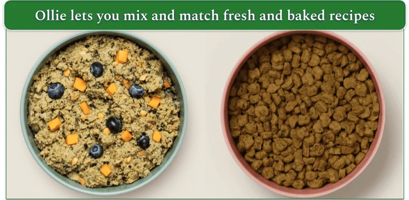 Ollie's fresh and dry meals