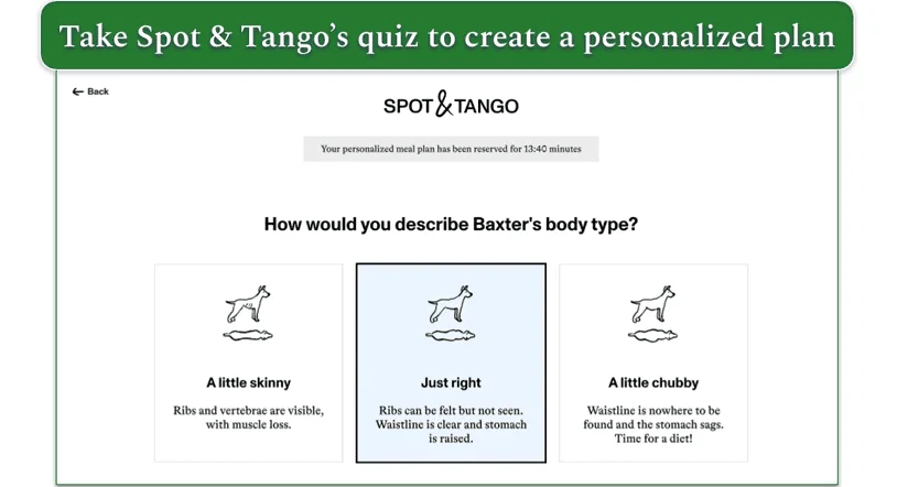 Screenshot of Spot & Tango’s quiz with a question on body type