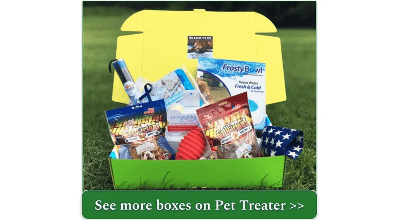 Pet Treater's summer-themed deluxe box