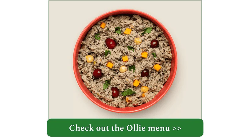 Bowl of Ollie’s fresh food with superfood ingredients like cranberries and sweet potatoes