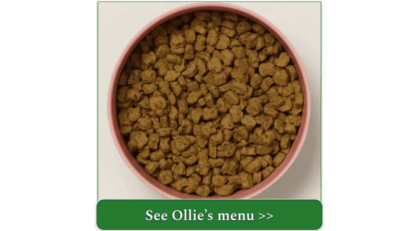 Ollie's Baked Beef recipe