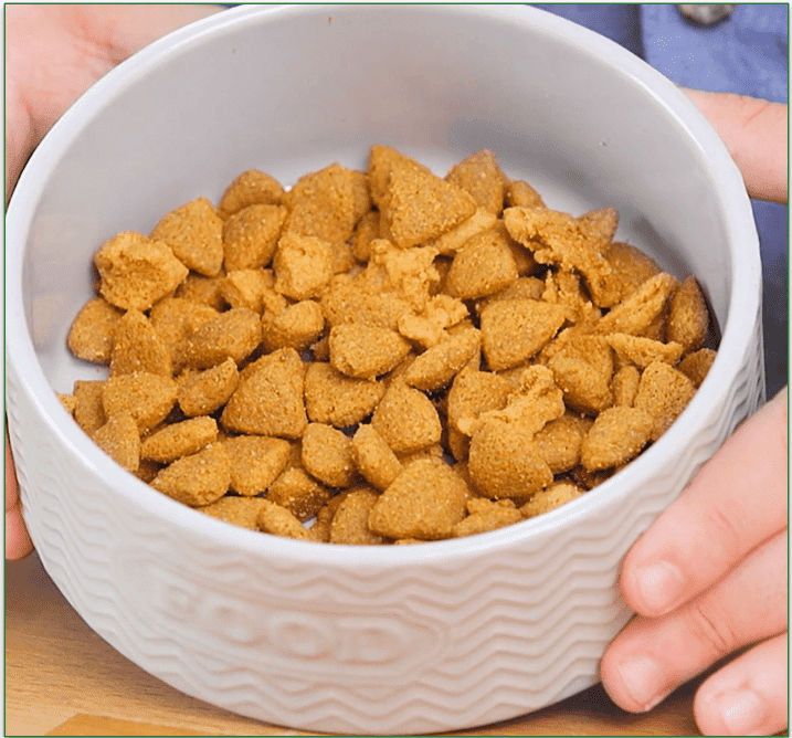 Purina Pro Plan Adult Shredded Beef & Rice Formula