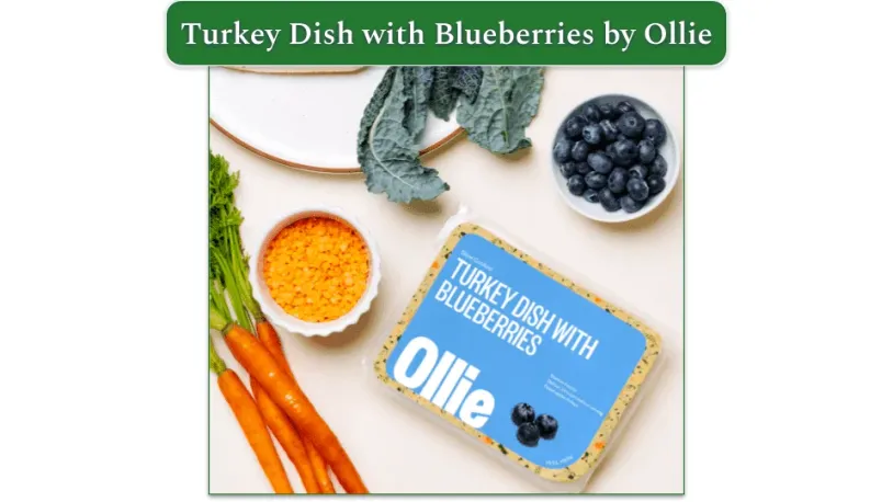 Ollie's Turkey Dish with Blueberries recipe alongside blueberries, carrots, and kale