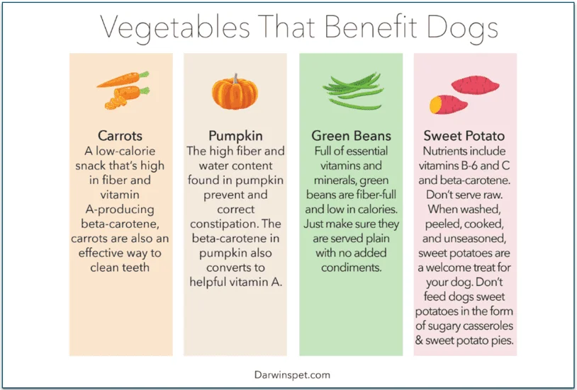 4 vegetables used in Darwin's recipes and their benefits