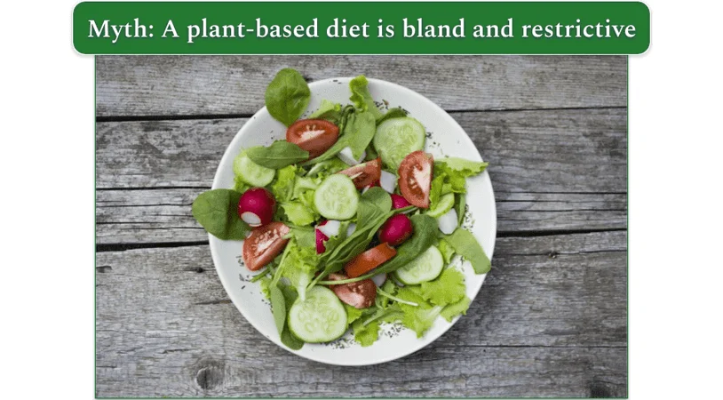 A summer salad on a plate