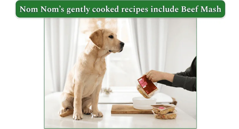 Puppy on the counter next to Nom Nom Beef Mash being served in a bowl