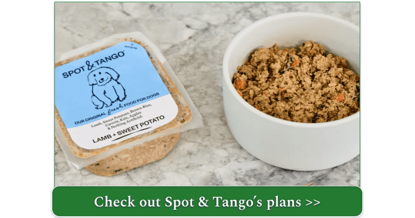 A bowl of Spot & Tango's fresh meal option with Beef and Millet