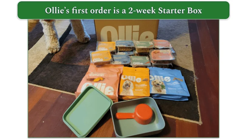 Ollie's unboxed starter pack