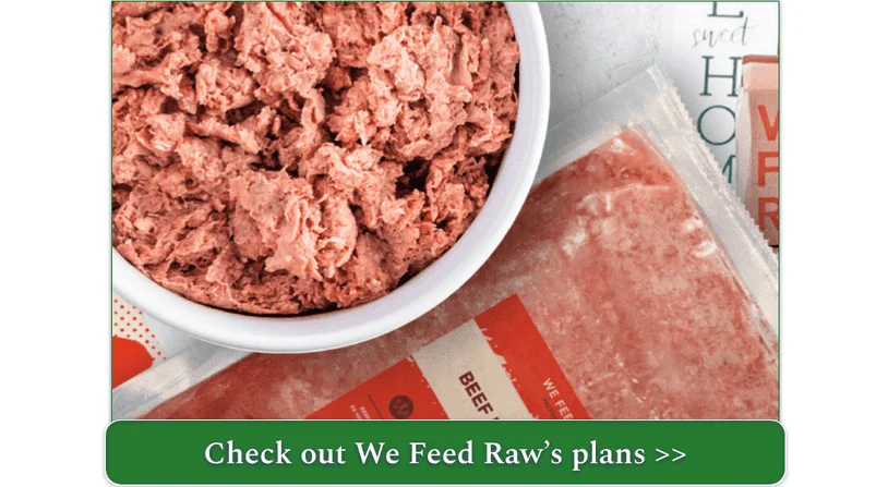 We feed raw beef recipe