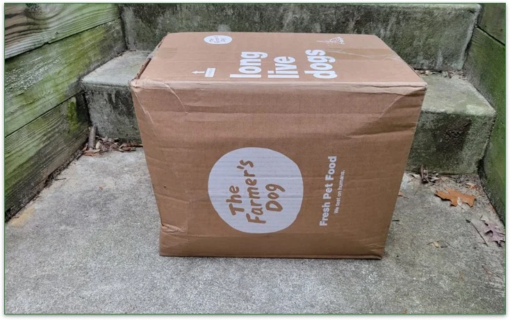 Photo of a The Farmer's Dog delivery box outside next to some steps