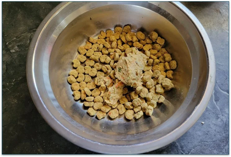 Photo of a dog bowl with Ollie's dried food and a scoop of fresh food in it