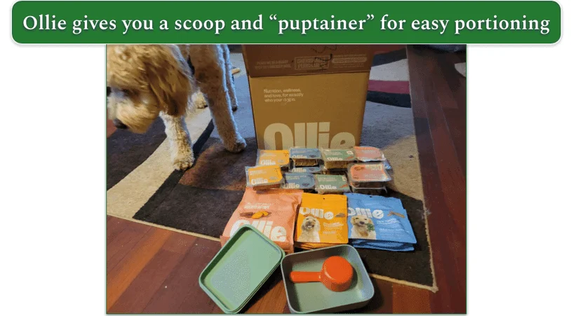 Unboxed Ollie delivery on the floor