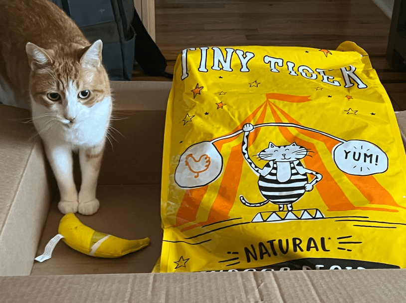 We tried out cat food and toys from Chewy