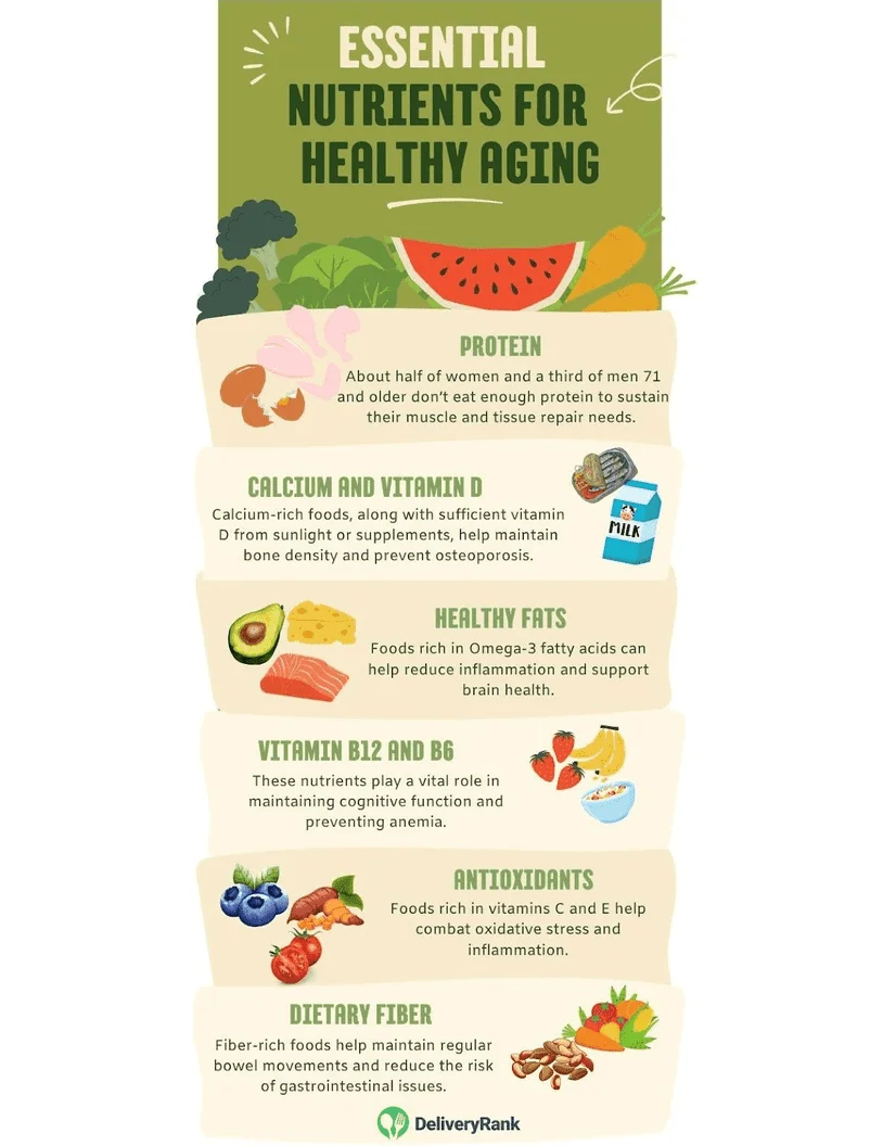 Essential nutrients for healthy aging infographic